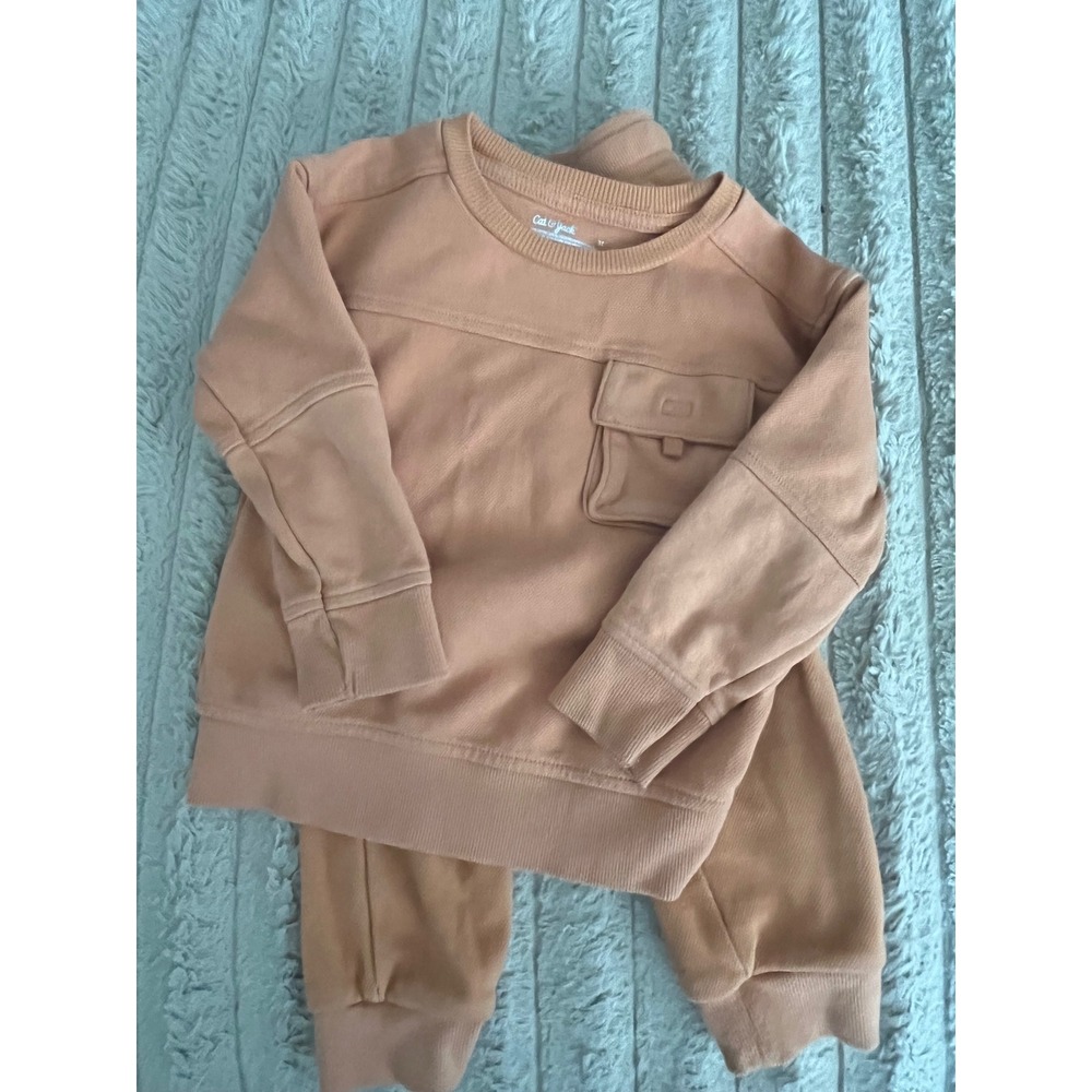Set 3T Cat & Jack Toddler Boys Clay Orange Waffle Sweatshirt and Cargo Jogger